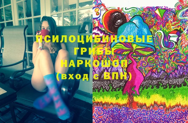 стафф Баксан