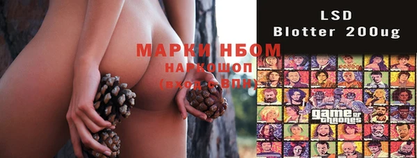 стафф Баксан