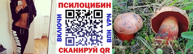 Псилоцибиновые грибы GOLDEN TEACHER  Светлогорск 